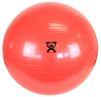 Inflatable Exercise Balls (4406019752049)